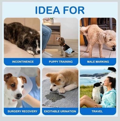 Dono Male Dog Diapers — Medium, 10 Count - Thumbnail 5