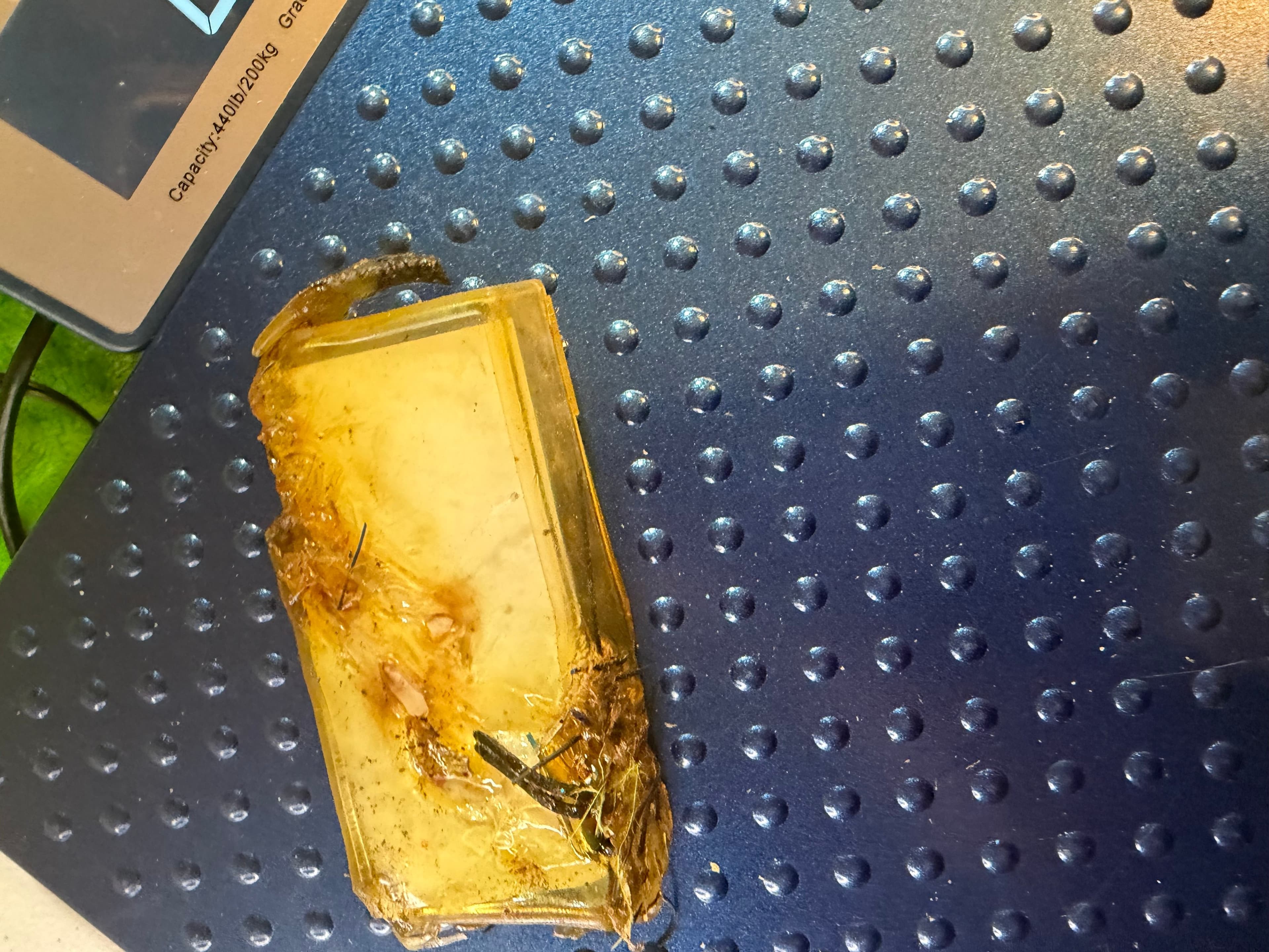 Vtg Bill Lewis Rat-L-Trap 1/2oz NOS Unfished OG Pkg Deteriorated USA - Thumbnail 2