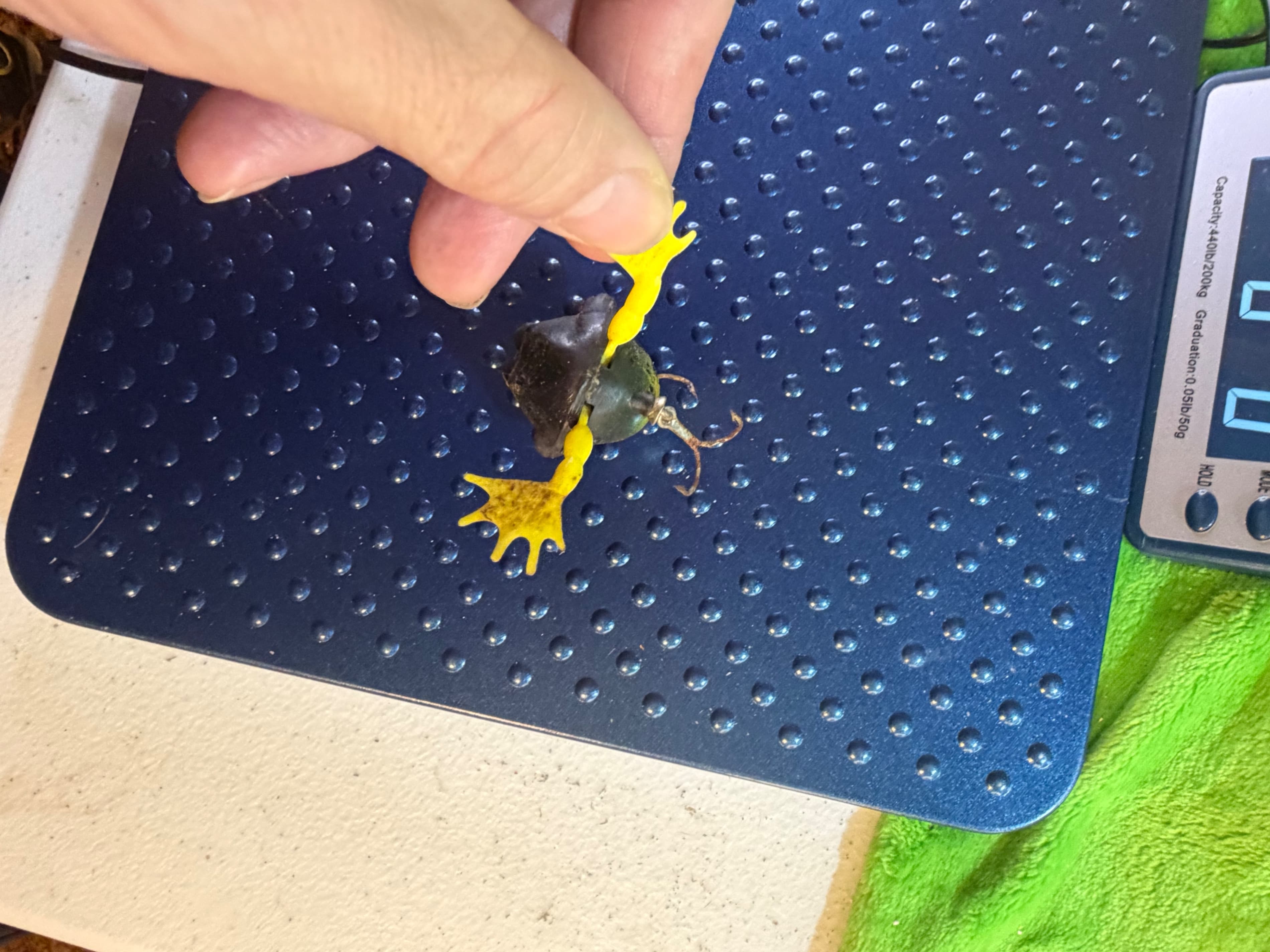 Vtg Hollow Body Hard Plastic Frog Lure Yellow Legs Red Face 1950s-60s - Thumbnail 6
