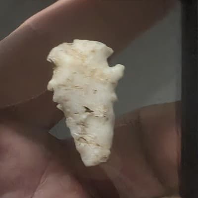 Stone Projectile Point Lithic – Mexico Origin – Unauthenticated - Thumbnail 4