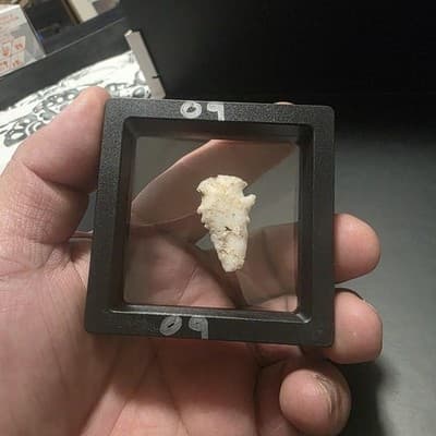 Stone Projectile Point Lithic – Mexico Origin – Unauthenticated