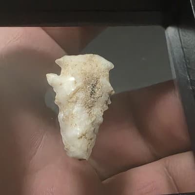 Stone Projectile Point Lithic – Mexico Origin – Unauthenticated - Thumbnail 2