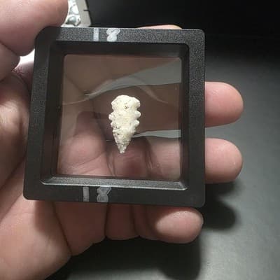 Primitive Stone Projectile Point – Mexico – Display Artifact