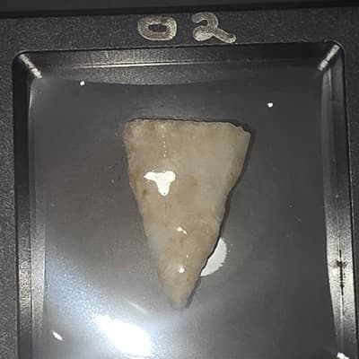 Hand Knapped Stone Arrowhead – Mexico – Unauthenticated Display Artifact - Thumbnail 2