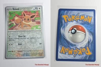 Pokémon TCG Obsidian Flames Eevee OBF 166/197 - Thumbnail 3