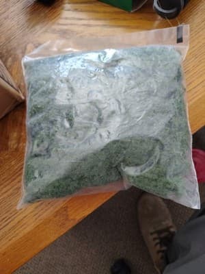 Medium Green Clump Foliage - Thumbnail 2