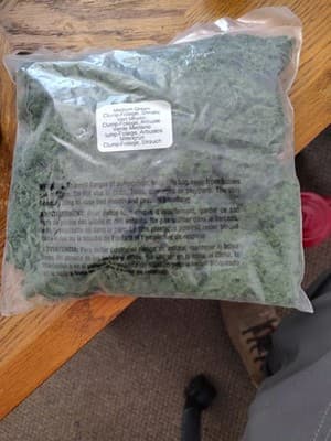 Medium Green Clump Foliage