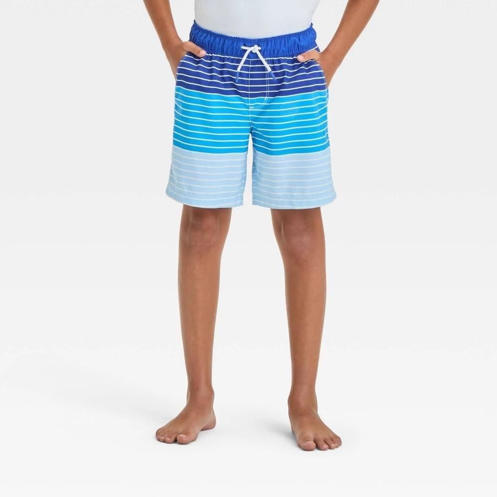 #5513 Large Boys' Striped Swim Shorts - Cat & Jack Blue - Default