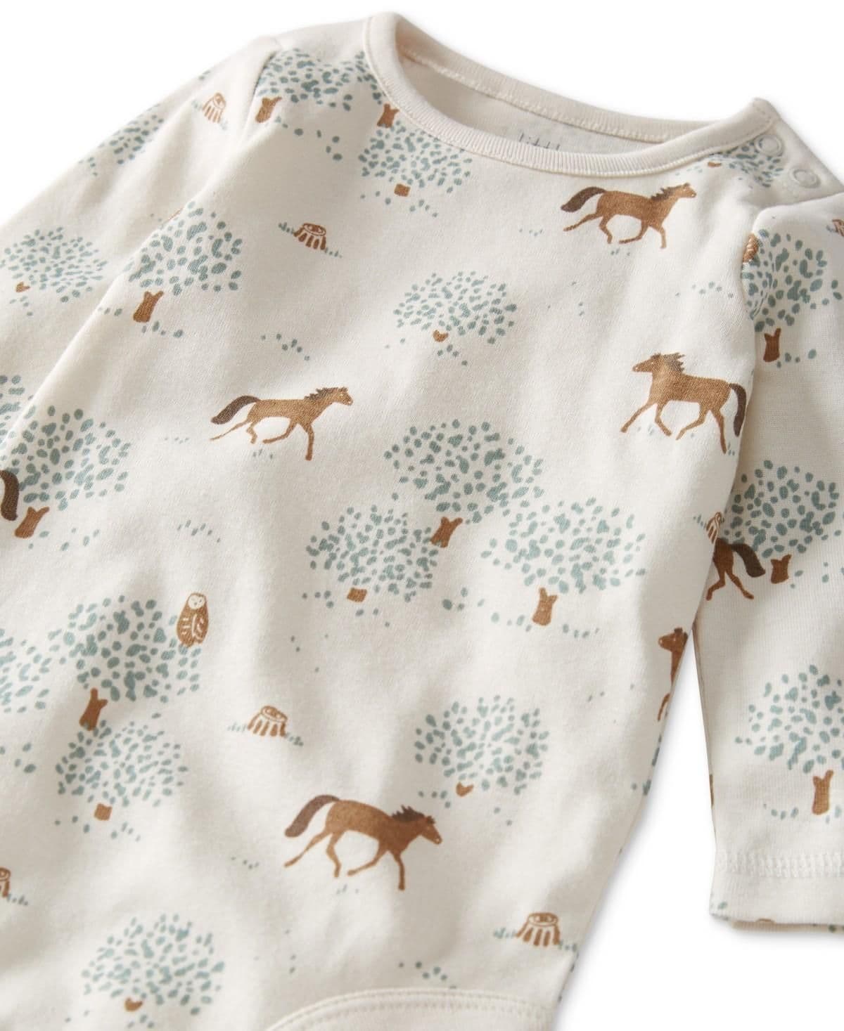 #8106 3M Little Planet by Carter's Organic Baby Boys' 2pk Horses Bodysuit - Cream/Green - Default - Thumbnail 3