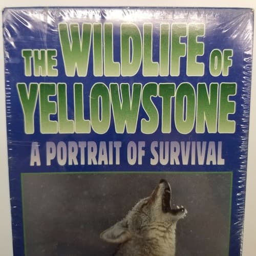 Wildlife Of Yellowstone A Portrait of Survival VHS 3-Tape Set NEW Questar - Regular - Thumbnail 2