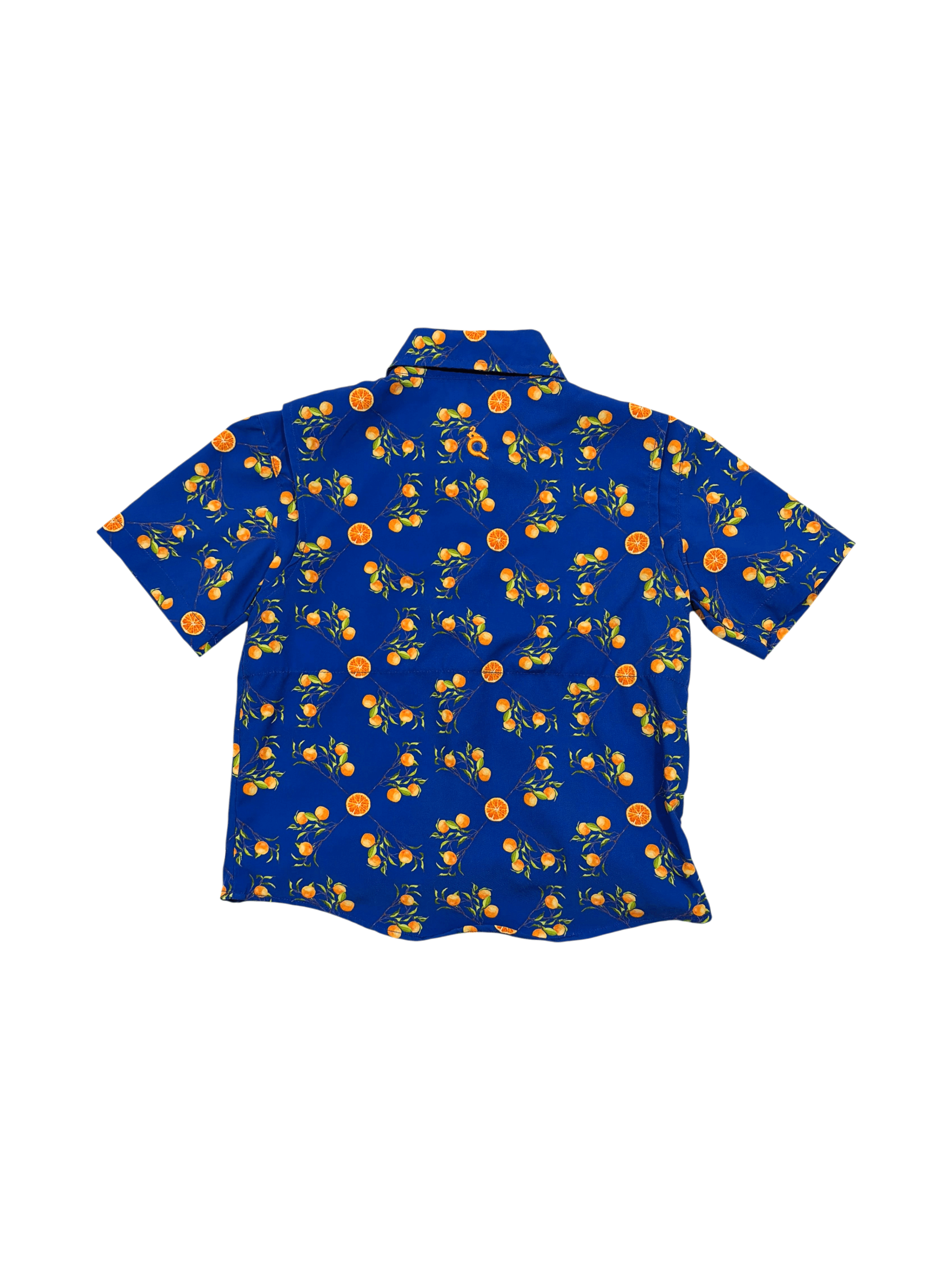 Blue Quail boys 3T everyday button up UPF 50+ - Thumbnail 2