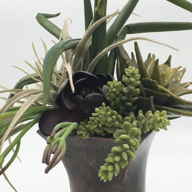 Bronze Vase with Succulents - Thumbnail 2
