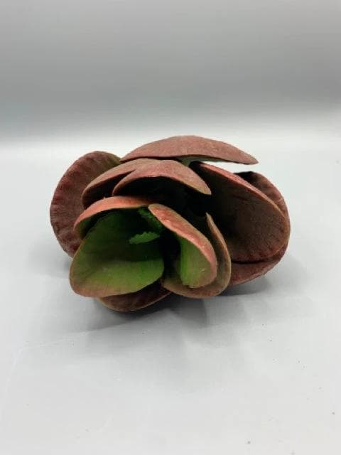 Faux Succulent Stem - Thumbnail 2