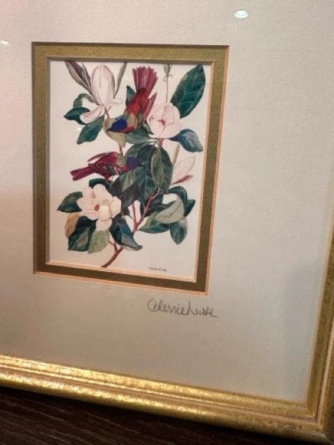 Set of 2 Framed Lithographs "Birds of the Carolinas" by Cherrie Nute - Thumbnail 2