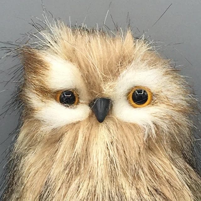 *NEW* Holiday Owl - Thumbnail 2