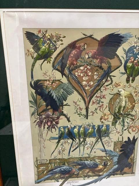 "Parrots And Parakeets" By Seder In Wood Frame - Thumbnail 2