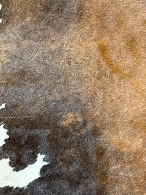 Cowhide Area Rug - Thumbnail 2