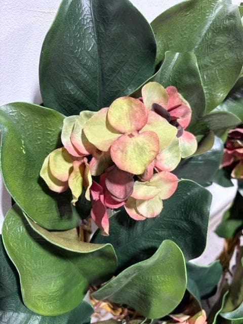 Magnolia Leaf & Hydrangea Wreath - Thumbnail 2