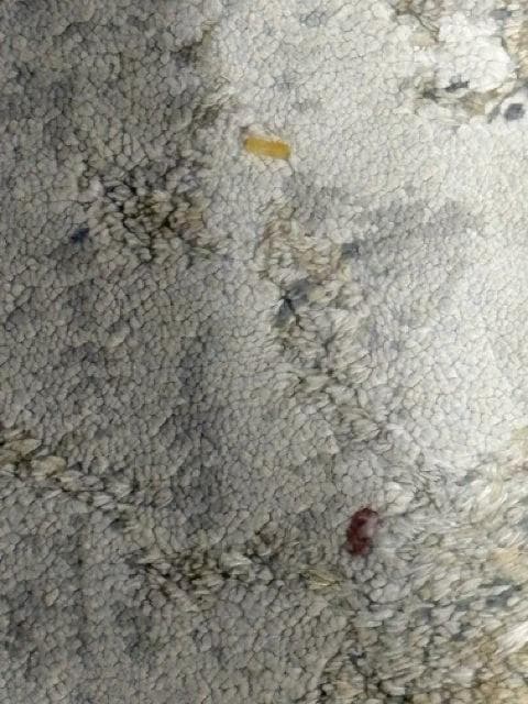 8'10"W 11'9"L Jaipur Cirque Collection Lynne White Sand Area Rug - Thumbnail 3