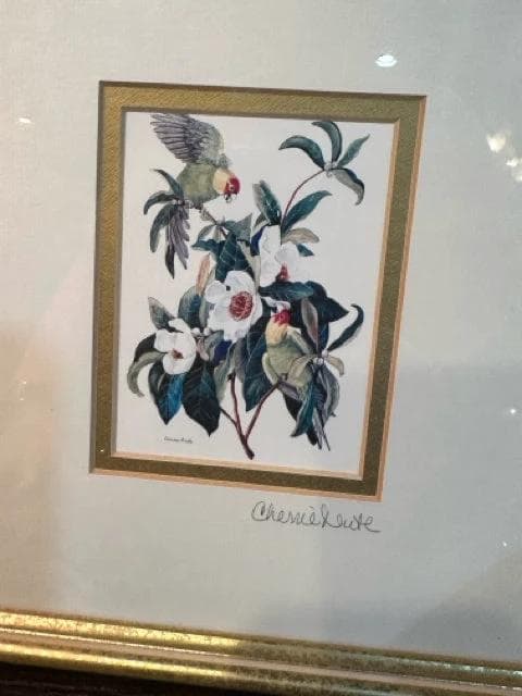Set of 2 Framed Lithographs "Birds of the Carolinas" by Cherrie Nute - Thumbnail 3