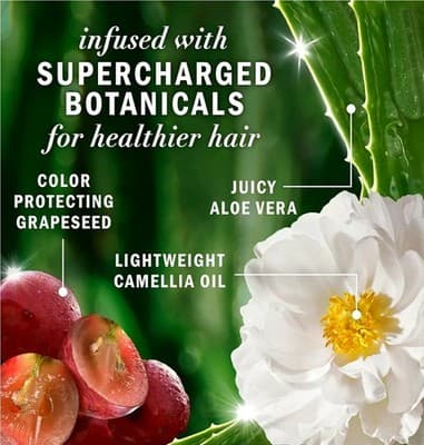 Herbal Essences Pure Grapeseed Conditioner Sultafe Free 13.5 Oz Each Lot Of 2 - Thumbnail 6