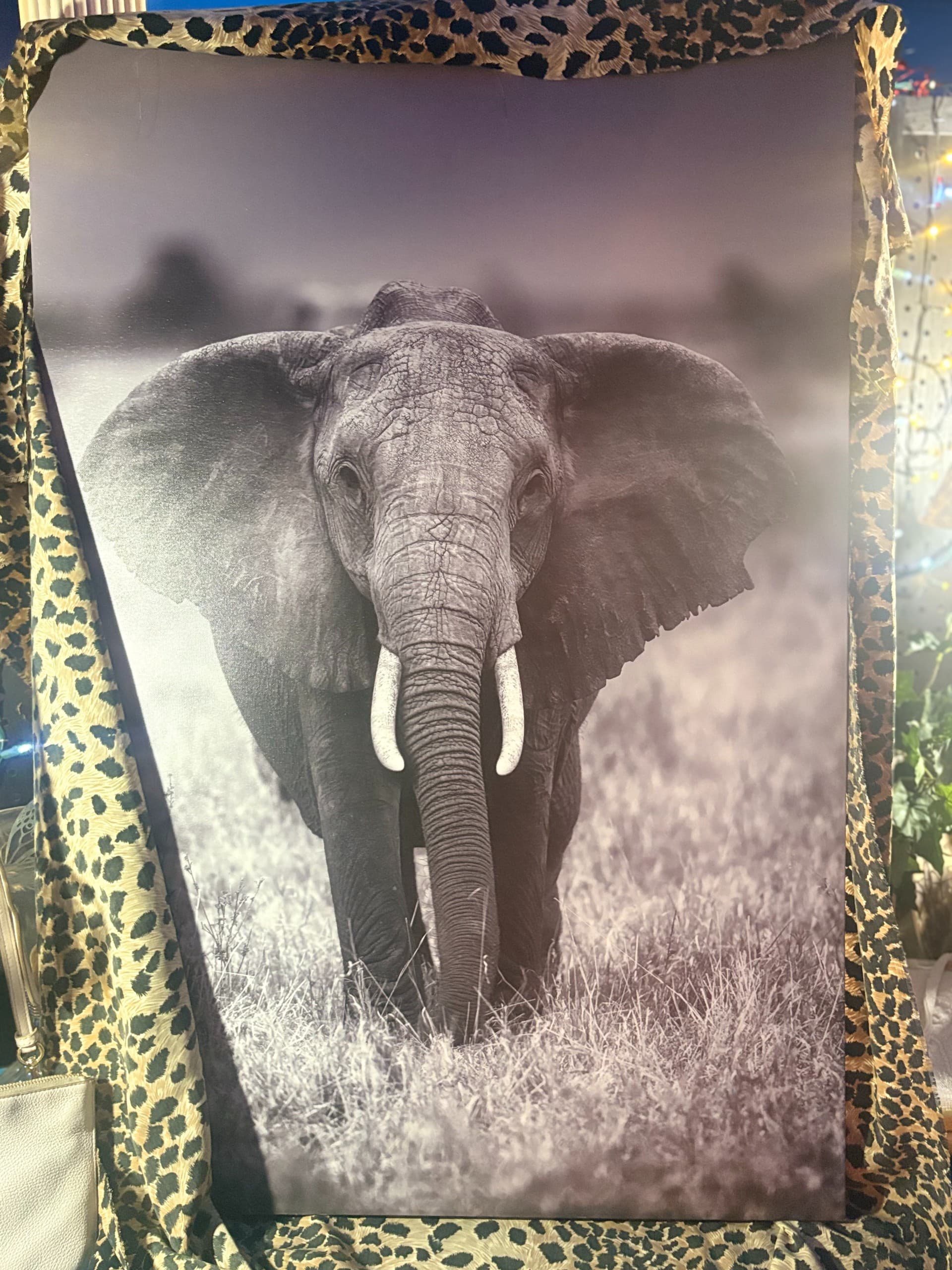 Majestic Elephant-Safari Statement Canvas - Regular