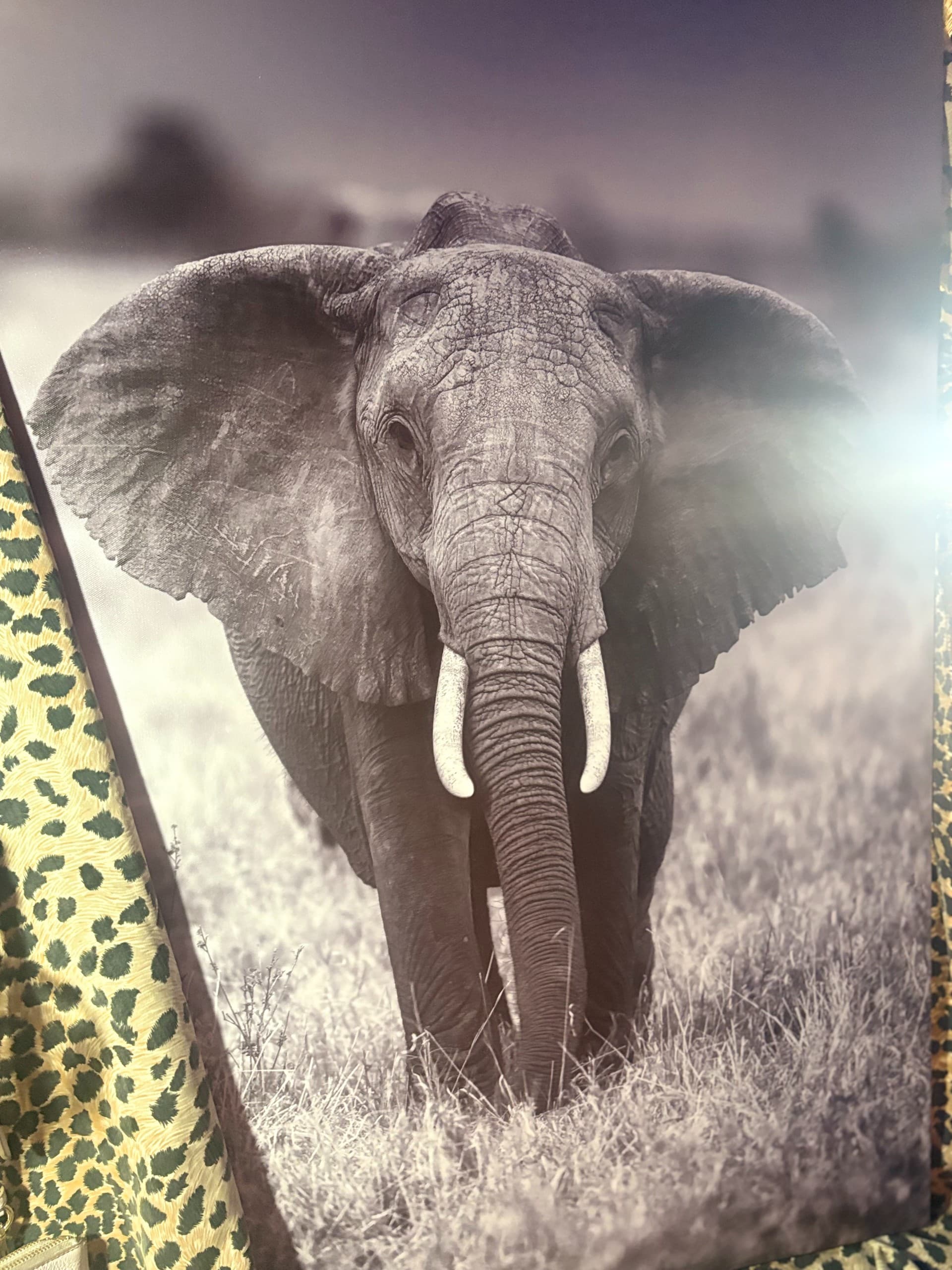 Majestic Elephant-Safari Statement Canvas - Regular - Thumbnail 2