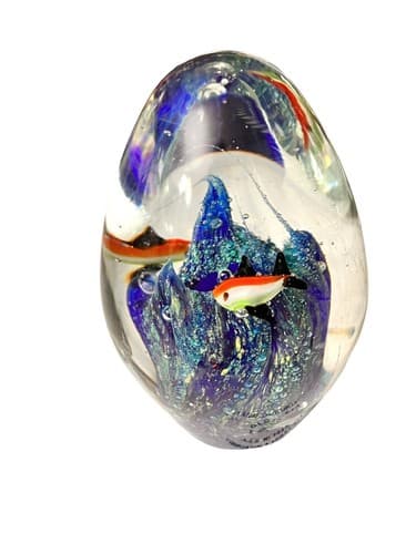 HAND BLOWN GLASS MURANO STYLE PAPERWEIGHT AQUATIC COLORFUL FISH - Thumbnail 3
