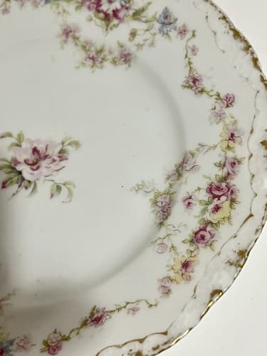 Haviland Limoges Plate Made For John Wanamaker - Thumbnail 5