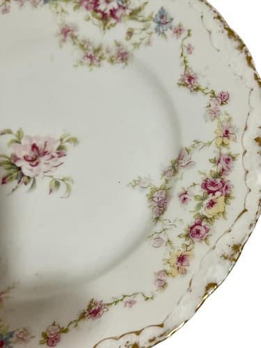 Haviland Limoges Plate Made For John Wanamaker - Thumbnail 2