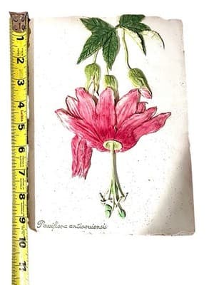 Vintage Botanical Tile Set Daffodil & Passionflower Relief Wall Art - Thumbnail 9