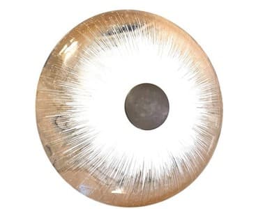 Vintage Lightolier Atomic Starburst Ceiling Light 21” MCM Flush Mount Glass 1950 - Thumbnail 5
