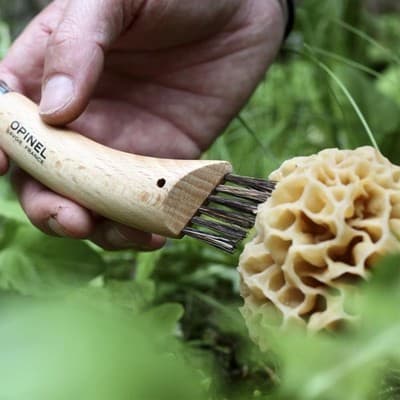 Opinel No. 08 Mushroom Knife - Beechwood Handle, Sandvik Steel, Integrated Brush - Thumbnail 5