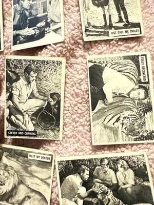 1966 Donruss Daktari TV Show Trading Cards Lot of 11 – Vintage Black & White - Thumbnail 5