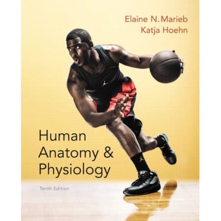 Human Anatomy & Physiology, Global Edition
