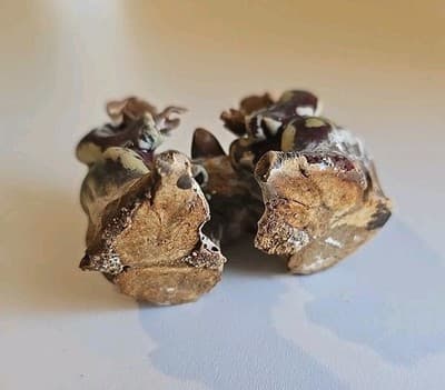 Antique Vintage Two Asian Chinese Mudmen Figurine - Thumbnail 10