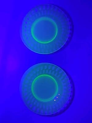 VTG Clear Federal Green Glass Thumbprint Vaseline Uranium Glass Lunch Plate 8" - Thumbnail 6