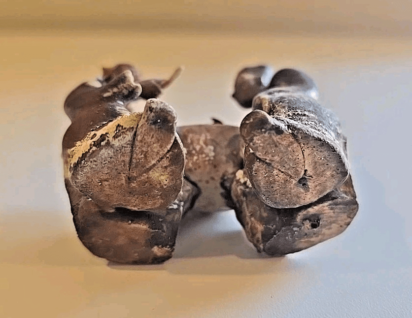 Antique Vintage Two Asian Chinese Mudmen Figurine - Thumbnail 10