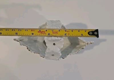 Antique Porcelain Basket Daisy + Flower Motif Gold Gilt Hand Painted 1898 R - Thumbnail 4