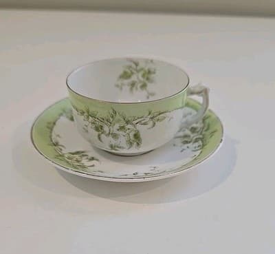 Austrian China Porcelain Teacup & Saucer Green Flowers
