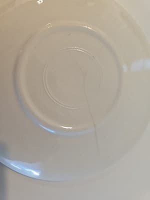 2 Made in USA Sabin Dinner Plate Brown Tan Rose Gold Trim Blue Flowers Roses - Thumbnail 10