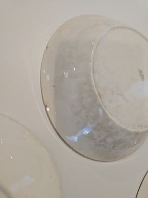 Dessert Plate Pope-Gosser China Made in USA Set of 4 - Thumbnail 15