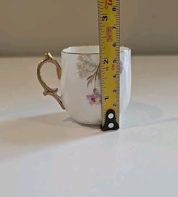 RARE Limoges Martial Redon Antique Plates, Tea Cup & Saucer Peach Gold Floral - Thumbnail 16