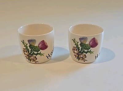 New Devon Pottery Newton Abbot Ceramic Flower Hawick Mini Cups Set of 2