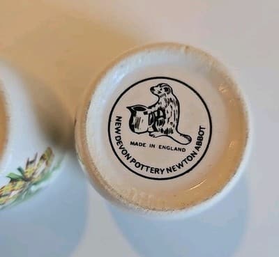 New Devon Pottery Newton Abbot Ceramic Flower Hawick Mini Cups Set of 2 - Thumbnail 9