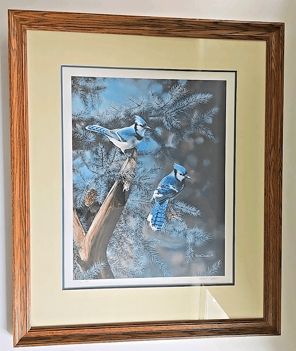 Kevin Daniel Art Print A Touch Of Blue - Bluejays 54/58 - Matted & Framed - Thumbnail 5