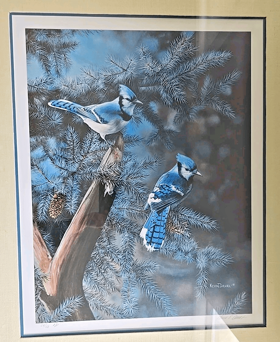 Kevin Daniel Art Print A Touch Of Blue - Bluejays 54/58 - Matted & Framed - Thumbnail 6