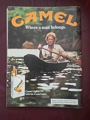 Playboy February 1981, Vickie Lynn Lasseter, Terri Welles, Candy Loving Vintage - Thumbnail 2