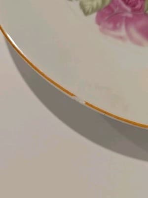 Bavaria ZS & Co Royal Munich Porcelain Hand Ptd Plate Gold Trim Roses Bouquet - Thumbnail 2