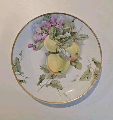 Rosenthal Bavaria Hand Painted Porcelain Plate with Apple Fruit Decor - Thumbnail 4